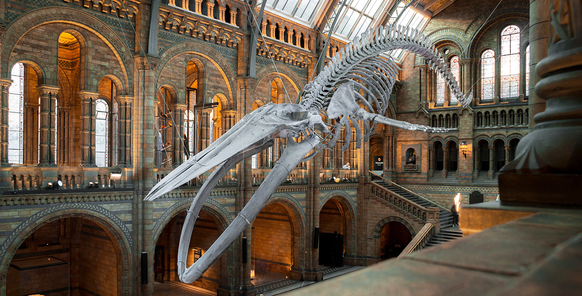 What's Yours Is Mine