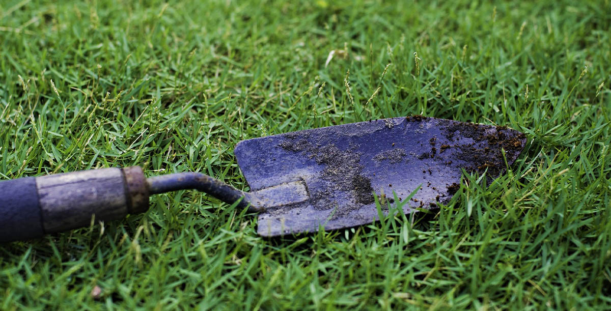 Other People's Dreams