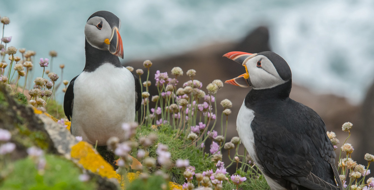 Somewhere Out At Sea